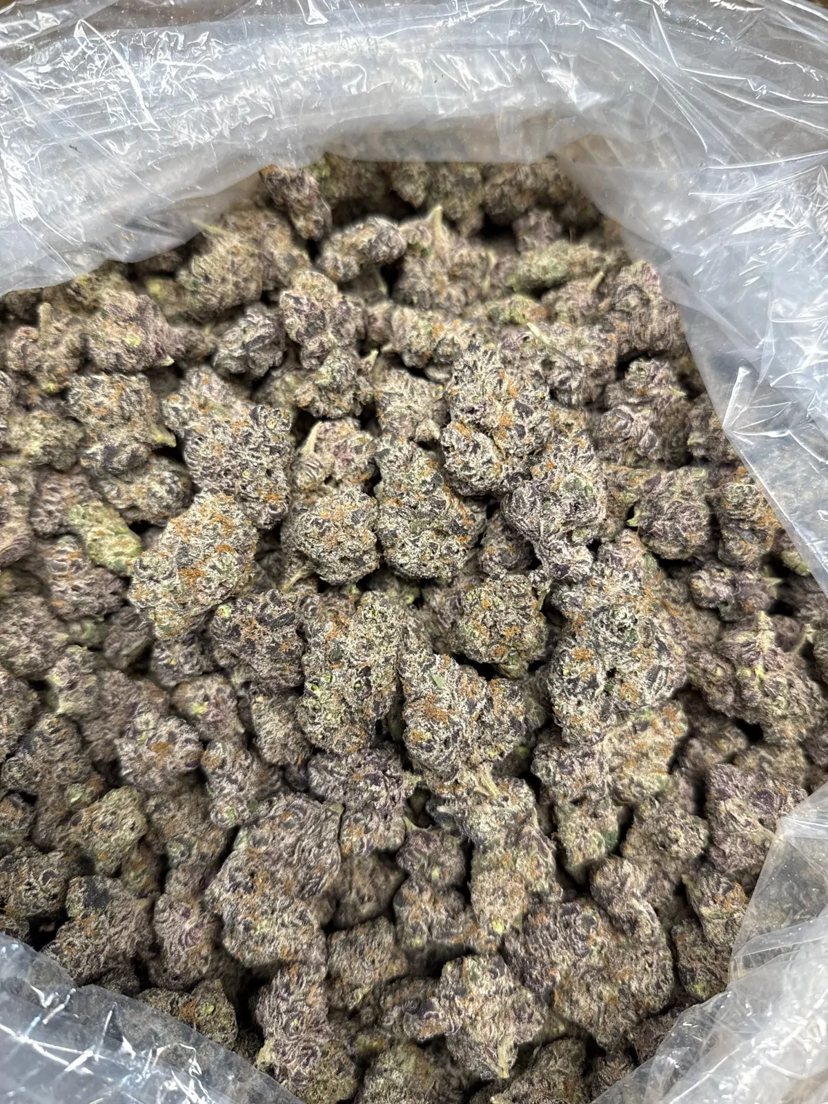 Cherry Sangria Flower